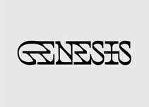 Logo Design Pinnacle Design Agency Logo Design Pinnacle Design Agency